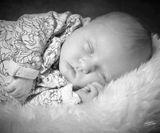 Nyfødt newborn billeder Fotograf Torben Fischer 190317A-71s 18x24Fotog